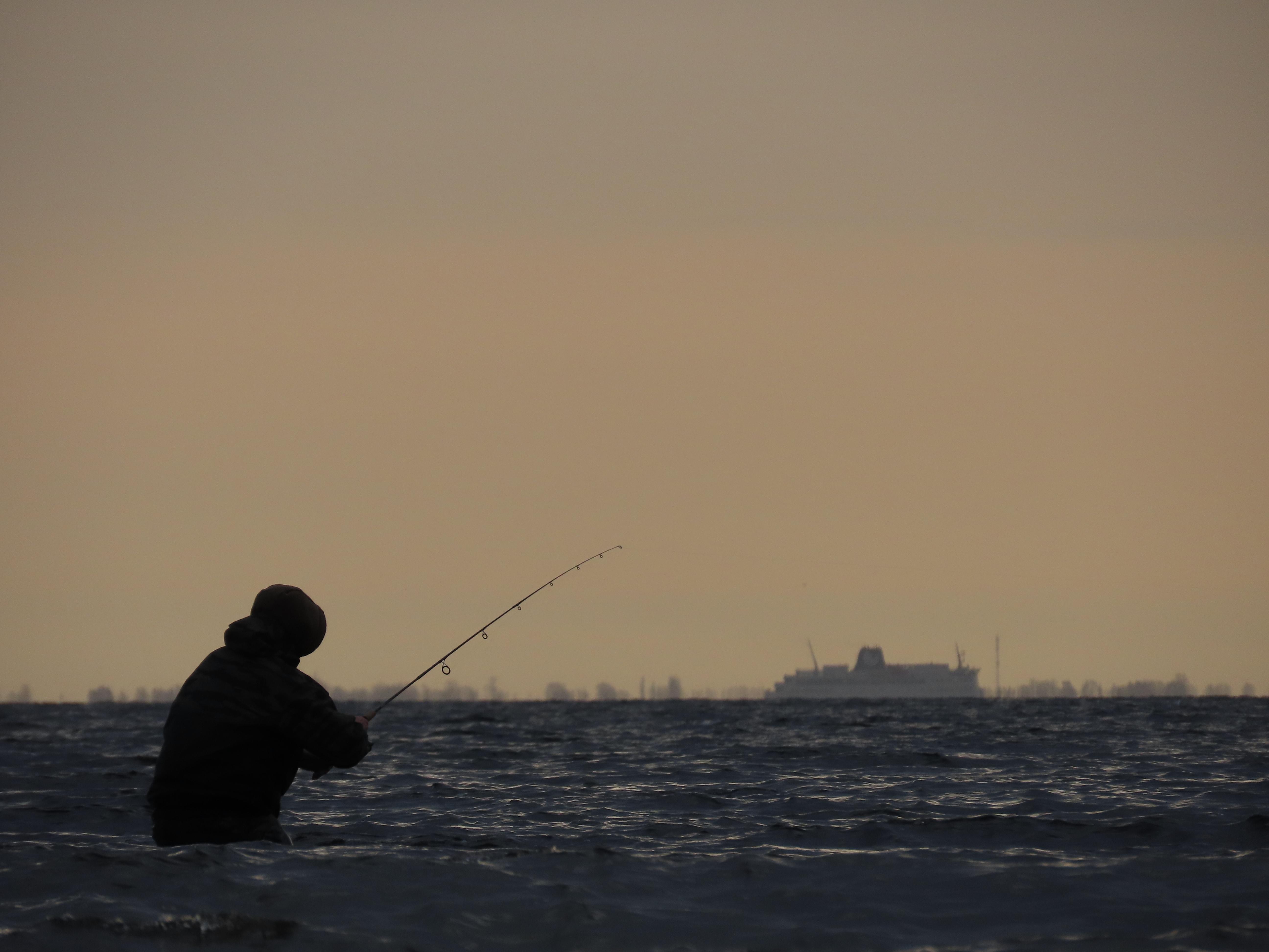 A person in waders (hopefully), standing waist-deep in the sea, holding out a fishing rod. They are completely in silhouette, and facing away from us. In the far distance, on the horizon, but sort of where the fishing rod is pointing, is a ship.