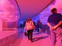 High above the roofs of nearby apartments, a circular glass tunnel, maybe 50m in diameter. There are people inside it (as are we, the viewer). The glass is coloured, with various parts of the circle in shifting shades. This particular part is pink, purple, and blue.